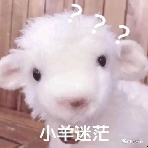 灰小羊视频爆料网站