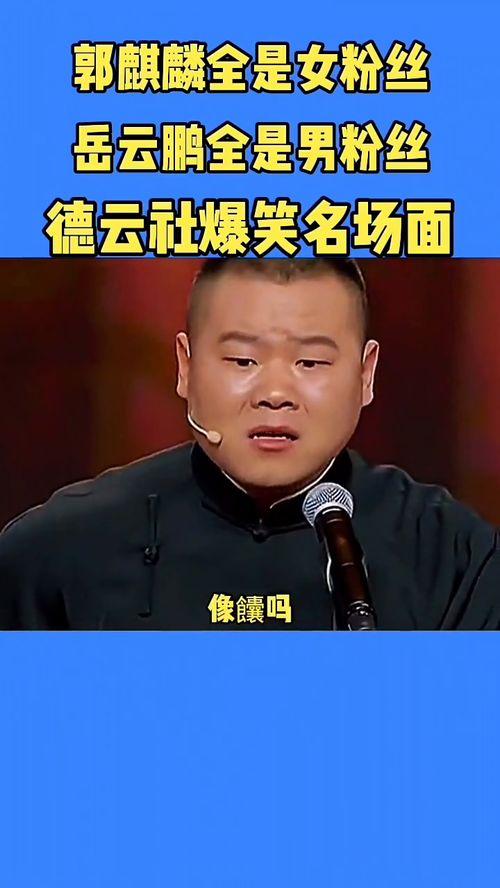 大林岳岳爆料视频完整版,揭秘娱乐圈幕后真相