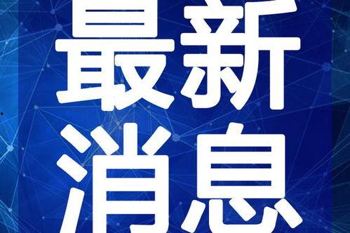 东莞外卖爆料视频大全最新,揭秘美食背后的秘密与真相