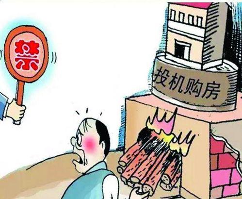 深圳购房者爆料最新消息,最新购房动态揭秘,房价走势及政策调整一览 第3张 深圳购房者爆料最新消息,最新购房动态揭秘,房价走势及政策调整一览 第3张