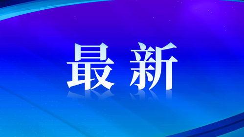 东莞新闻今日爆料,最新爆料揭示城市动态与热点事件