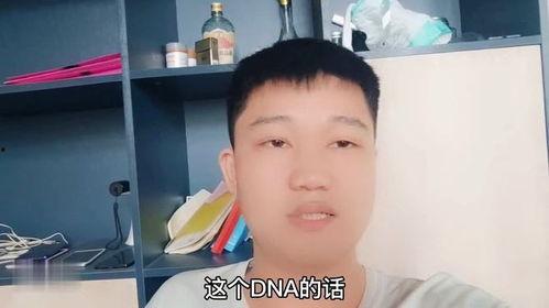 二子爷爆料家产视频播放,视频播放背后的惊人真相 第2张 二子爷爆料家产视频播放,视频播放背后的惊人真相 第2张