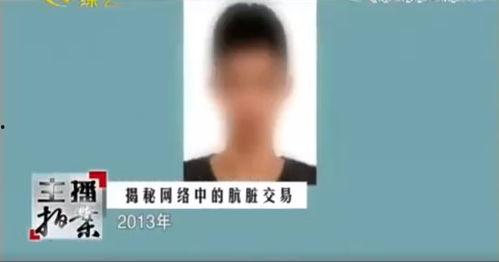 二子爷爆料家产视频播放,视频播放背后的惊人真相 第3张 二子爷爆料家产视频播放,视频播放背后的惊人真相 第3张