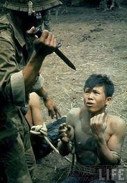 美国爆料最新越战视频,最新视频曝光战争残酷瞬间