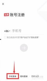 今日头条怎样发爆料视频,轻松上手，让你的声音被听见  第3张