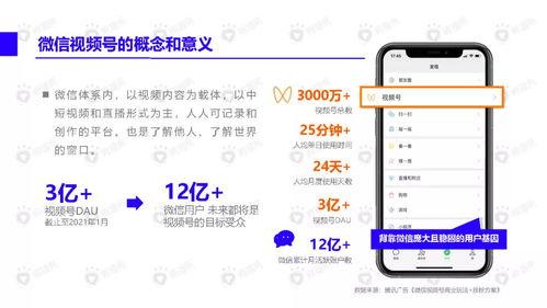 爆料仙鹤特效视频下载安装,下载安装攻略与精彩视频赏析  第3张