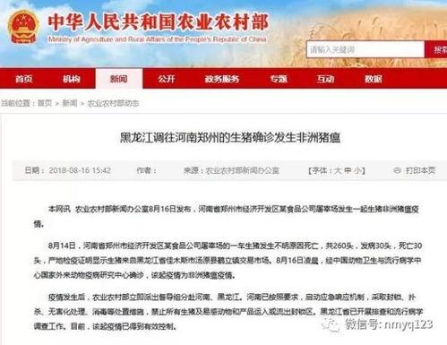 八村最新爆料新闻报道图片,独家图片揭示惊人内幕！”