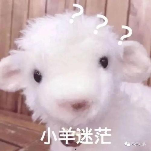 爆料网红小羊视频,揭秘幕后真相  第3张