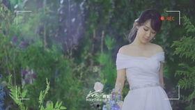 张小姐爆料结婚完整视频,结婚全程视频大公开  第2张