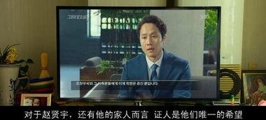 韩国电影再审在线观看,揭秘幕后真相，在线观看带你走进悬疑世界  第2张