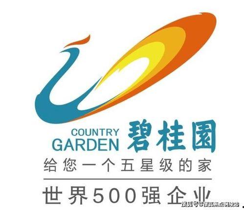 湛江徐闻爆料热线最新,聚焦民生热点，守护群众利益  第3张