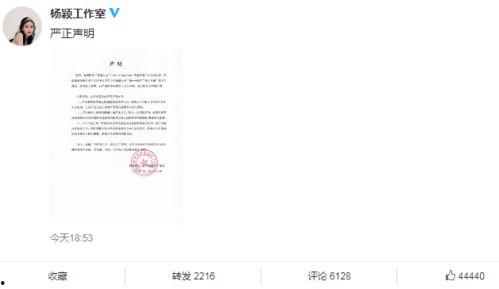 网红爆料陈翔视频播放大全,网红爆料背后的精彩瞬间