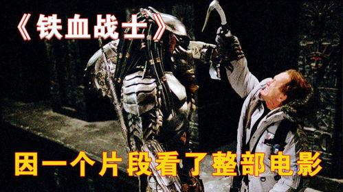 铁血718在线观看,热血激战,在线重温传奇战事 第2张 铁血718在线观看,热血激战,在线重温传奇战事 第2张