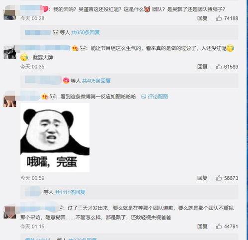 娱乐圈爆料吴瑾言是谁,吴瑾言是谁？揭秘当红小花旦的崛起之路