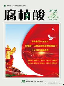 爆料新闻封面图案,爆料新闻背后的惊人真相