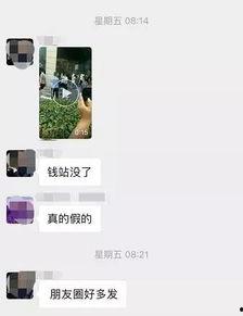 小催最新爆料,揭秘娱乐圈最新动态  第2张