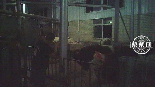 橙衣男子爆料视频播放全集,事件真相与幕后黑幕大起底