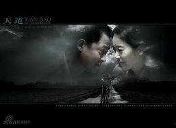 娱乐大爆料 天道无言,揭秘“天道无言”背后的神秘故事