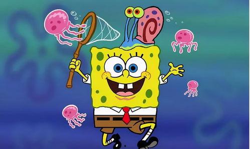 佩琪学员爆料是真的吗视频,佩琪学员爆料视频真实性揭秘