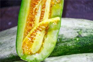 晨曦网红吃瓜,揭秘娱乐圈幕后真相  第2张