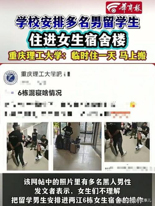 各地留学生爆料事件最新,全球多地校园安全事件频发，紧急关注与应对措施  第3张