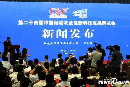 柬埔寨周一爆料新闻,惊人内幕揭露！  第3张