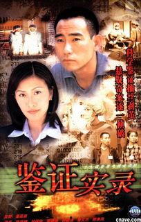 在线观看鉴证实录观看,揭秘古代奇案，探寻智慧之光  第3张