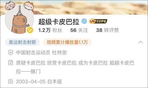 四姐网友爆料视频下载安装  第3张