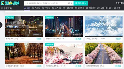 知识类爆料视频素材,探寻真相与智慧的碰撞  第2张