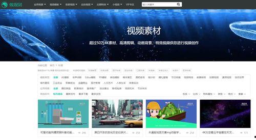 知识类爆料视频素材,探寻真相与智慧的碰撞  第3张