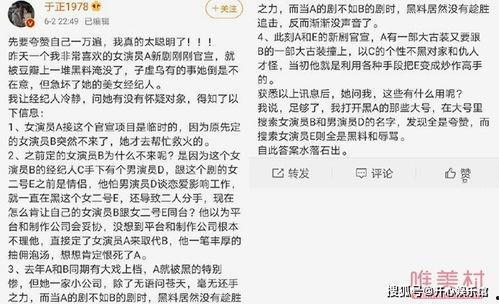 圈内爆料于正作文,圈内爆料作文背后的故事  第2张