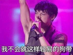 台湾狗仔爆料黄子韬视频,真相背后引热议  第3张