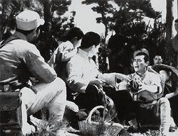 电影地雷战在线观看,揭秘抗战时期英勇抗敌的传奇故事  第1张