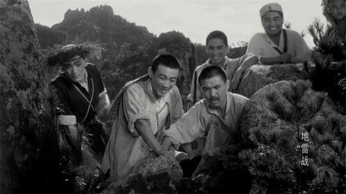 电影地雷战在线观看,揭秘抗战时期英勇抗敌的传奇故事  第3张