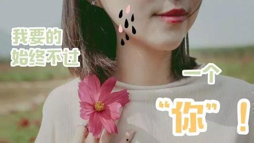 娱乐吃瓜酱有趣的灵魂,揭秘娱乐圈那些有趣的灵魂  第3张