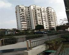 枫丹实景爆料最新消息视频,揭秘神秘视频背后的真实场景