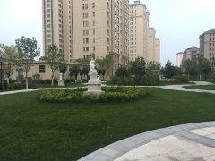 枫丹实景爆料最新消息视频,揭秘神秘视频背后的真实场景  第2张