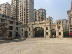 枫丹实景爆料最新消息视频,揭秘神秘视频背后的真实场景  第3张