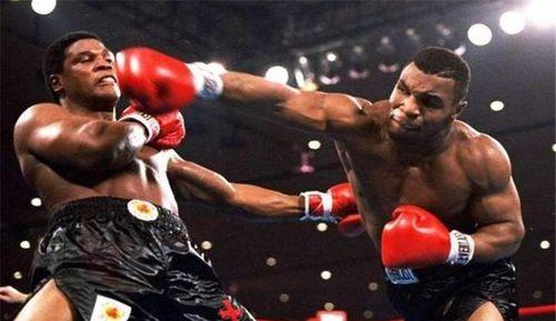 泰森最新爆料动物,动物世界的惊人真相与惊人瞬间