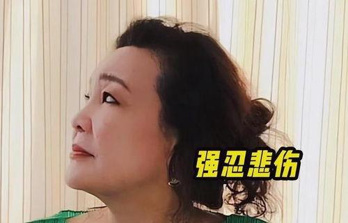 孟贺爆料汪小菲视频播放,真相与争议