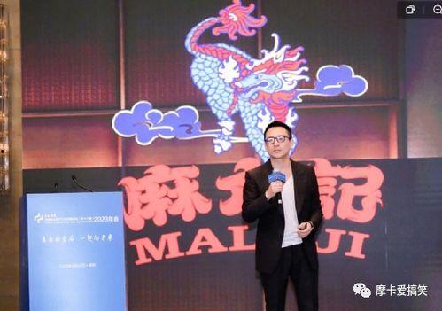 孟贺爆料汪小菲视频播放,真相与争议 第2张 孟贺爆料汪小菲视频播放,真相与争议 第2张