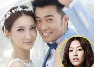 陈赫女友爆料视频大全下载,揭秘明星私生活背后的真相